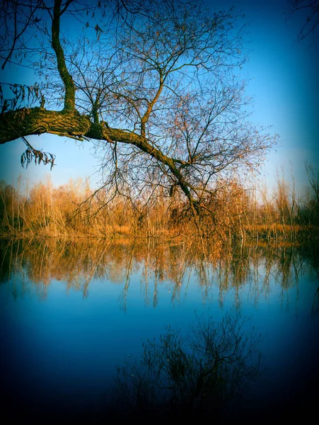 Otoño Paisaje Río Bosque Día Soleado —  Fotos de Stock