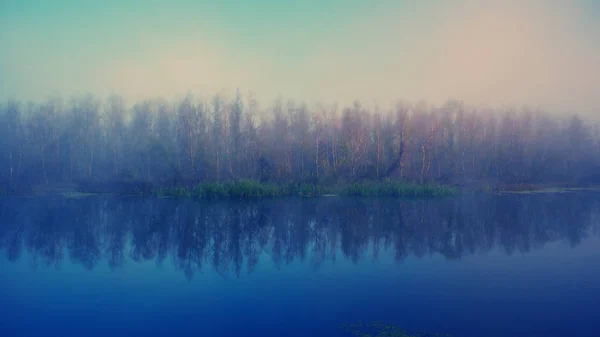 Nebuloso Amanhecer Fundo Rio Floresta — Fotografia de Stock