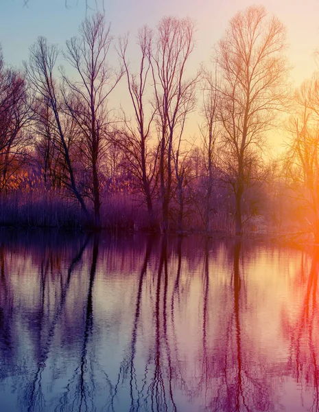 Вечір Лісовому Озері Ранньої Весни — стокове фото