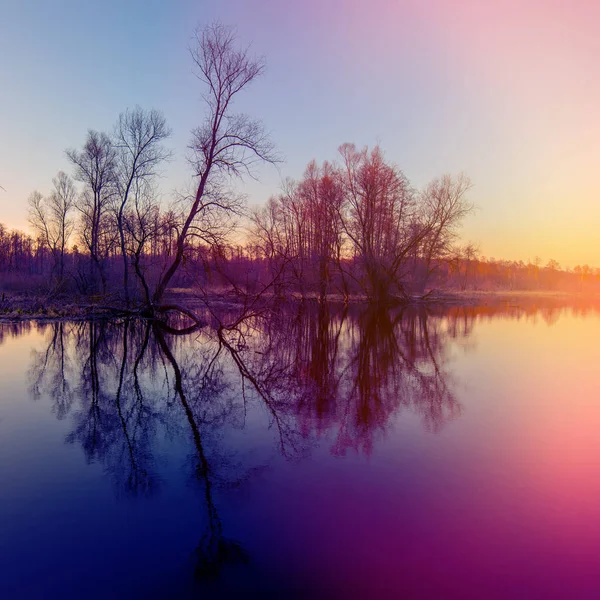 Noite Lago Floresta Início Primavera — Fotografia de Stock