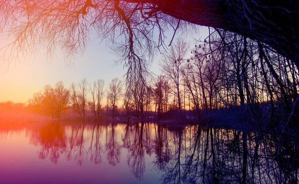 Вечер Лесном Озере Ранней Весной — стоковое фото