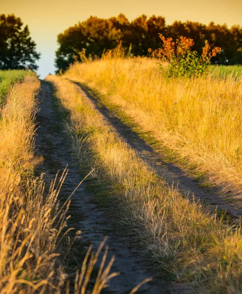 Rural Landscape Dirt Road Evening — Stock Photo, Image