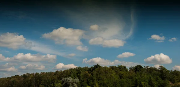 森と雲と青空の風景パノラマ — ストック写真
