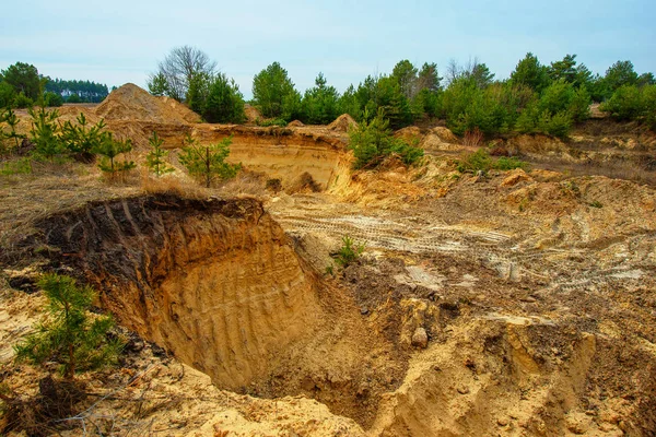 Landschaft Kiefernwald Nach Sandabbau Illegale Sandgrube Stockbild