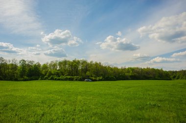 yeşil alan ve orman ve gökyüzü arka plan, bahar sezonu otomobili