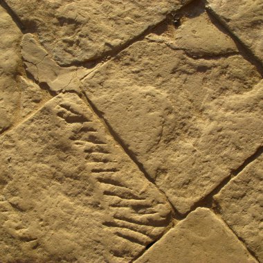 Bilhorod-Dnistrovskyi, tarihi ve mimari anıt XIV yüzyıl kaledir. Ülke Ukrayna.