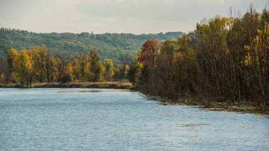 nehir ve kırsal, sonbahar manzara ölü ağaçlar