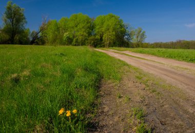 Bahar Orman ve toprak yol, Ukrayna