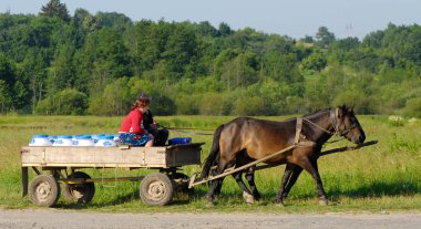 köy, Ukrayna - 28. Haziran. 2008: çiftçiler binme, Hmelnitski Oblastı süt taşımak