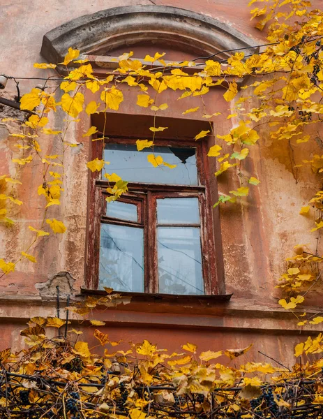 Okno Starém Domě Podzim — Stock fotografie