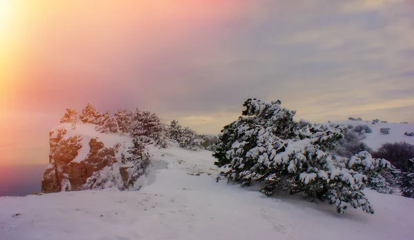 Solnedgång Bergen Snön Vintern — Stockfoto