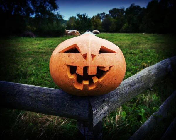 Scary Pumpkin Halloween Rustic Wooden Fence — Stock Photo, Image