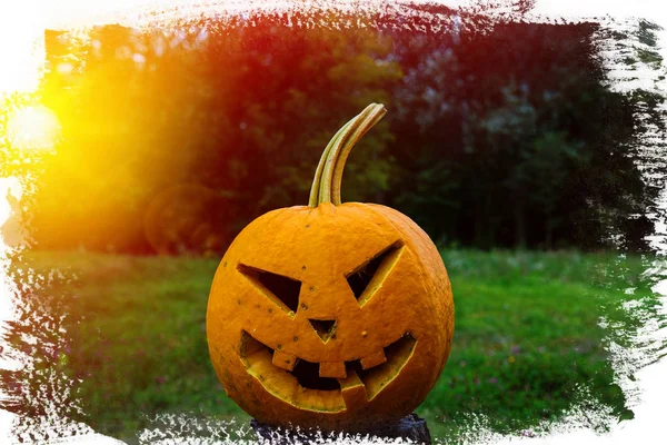 Scary Pumpkin Halloween Forest Village — Stock Photo, Image