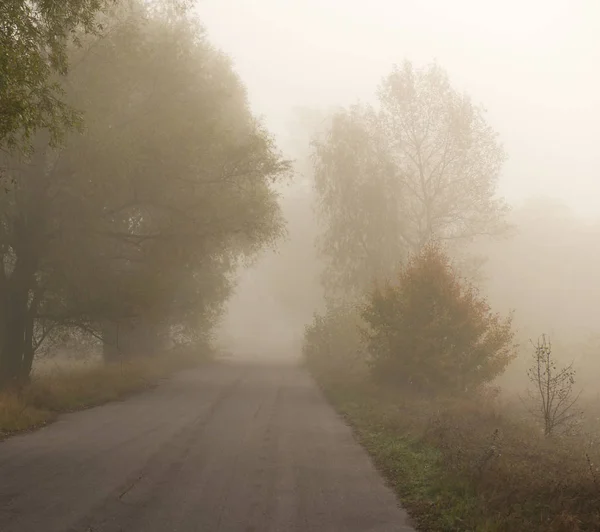 Ασφαλτοστρωμένος Δρόμος Στην Ομίχλη — Φωτογραφία Αρχείου