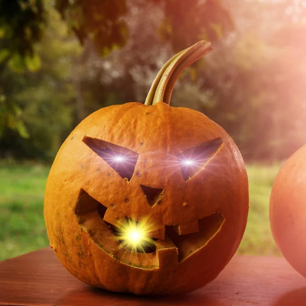 Halloween Pumpkin Blurred Natural Background — Stock Photo, Image