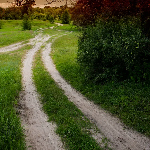 Strada Sterrata Nella Campagna Boschiva Stagione Primaverile — Foto Stock