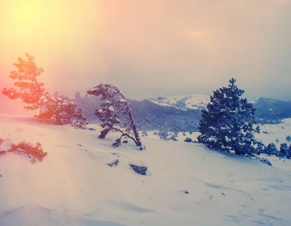 Puesta Sol Las Montañas Paisaje Invierno — Foto de Stock