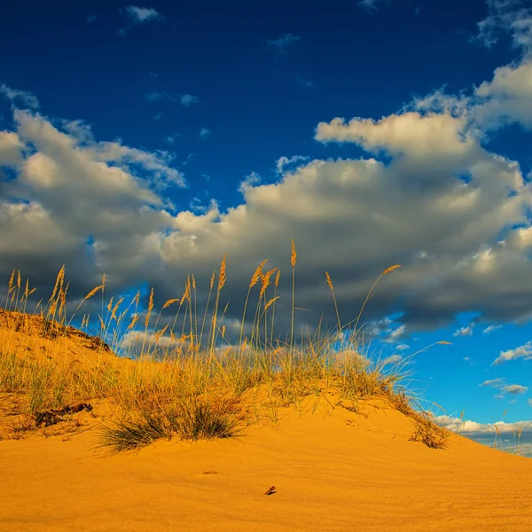 Landschap Met Zandduinen Drogen Van Planten Achtergrond Van Wolken — Stockfoto