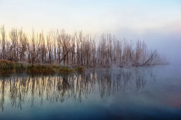 Mañana Otoño Niebla Río Temporada Otoño —  Fotos de Stock