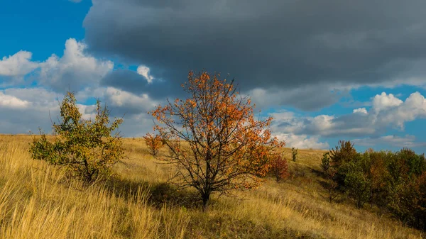 autumn forest and clouds in the countryside