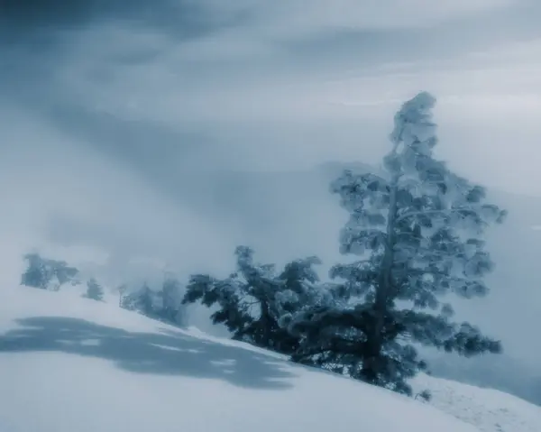 Suddig Bakgrund Landskap Pinjeträd Bergen Ett Snöfall — Stockfoto