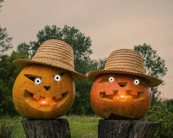 Paar Halloween Pompoenen Onscherpe Natuurlijke Achtergrond — Stockfoto