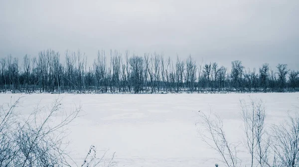 Pokryte Lodem Woods Zimowy Krajobraz Rzeka — Zdjęcie stockowe