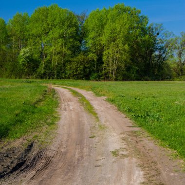 Kırsal bahar peyzaj toprak yol ve ormanlar