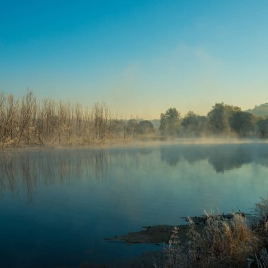 nehir ve orman ilk sonbahar Frost, güneşli bir gün