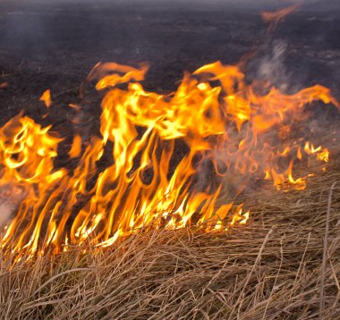 Bozkır kuru ot yakar sonbaharda ateş