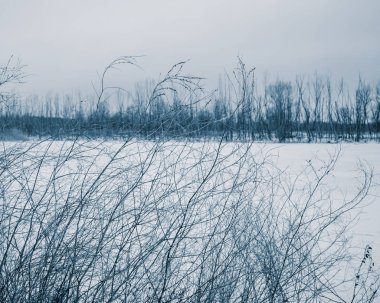 Nehir kaplı buz ve woods, kış manzarası