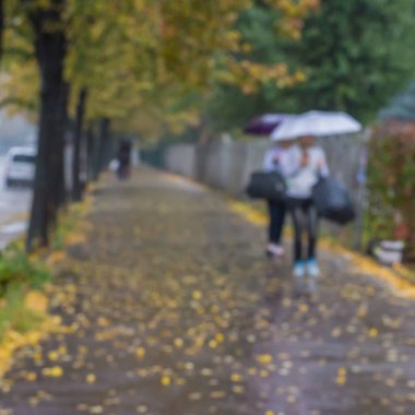 Sonbahar sokak, arka plan bulanık şemsiye yağmur kadınlarla