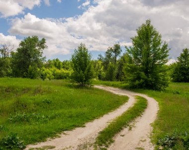 Orman ve toprak yol, bahar mevsimi