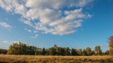 yaprak döken orman ve kırsal, sonbahar manzara otlak