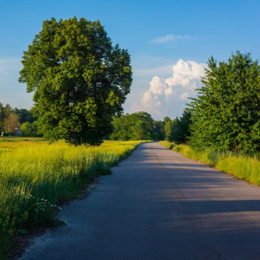 Asfalt yol kırsal, bahar manzara