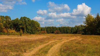kırsal kesimde sonbahar manzara Panorama