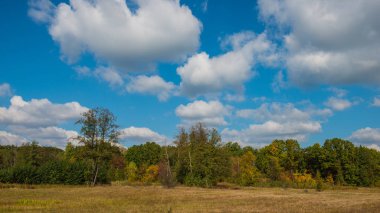 sonbahar manzara ağaçlar çayır ve bulutlar güneşli gün