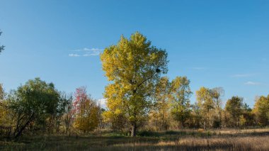 Sonbahar Orman ve kırsal kesimde bulutlar