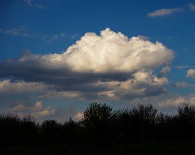 Manzara ağaçlar ve bir bulut bahar mevsimi