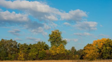 Sonbahar Orman ve kırsal kesimde bulutlar