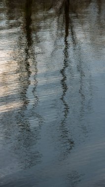dikey panoramik fotoğraf, su Nehri ağaçlarda yansıması