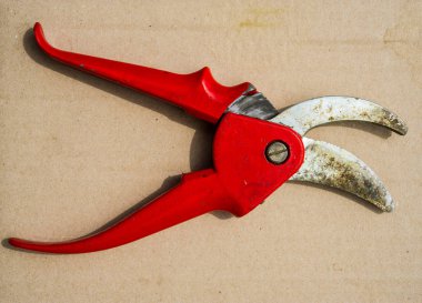 kağıt üzerinde kırmızı kesme makineleri