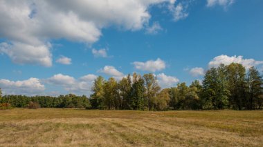 sonbahar manzara ağaçlar çayır ve bulutlar güneşli gün