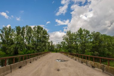 kırsal manzara eski yolu Köprüsü ve orman