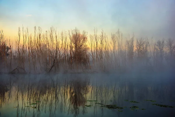 Mañana Otoño Niebla Río Temporada Otoño —  Fotos de Stock