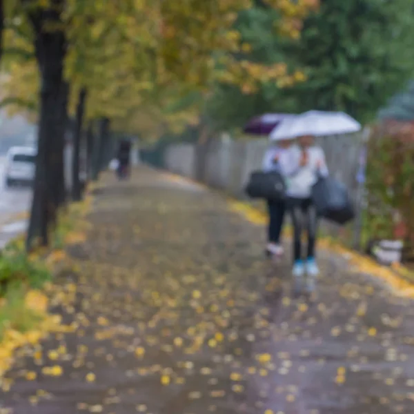 women with umbrellas in the rain go on autumn alley, blurred background