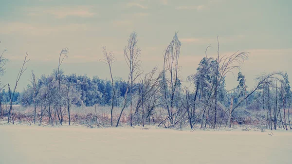 被冰雪覆盖的河流冬季森林 — 图库照片