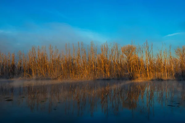 晴れた日に川の秋霧の朝 — ストック写真