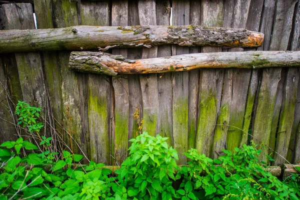 覆盖着苔藓和植物的旧木栅栏 — 图库照片