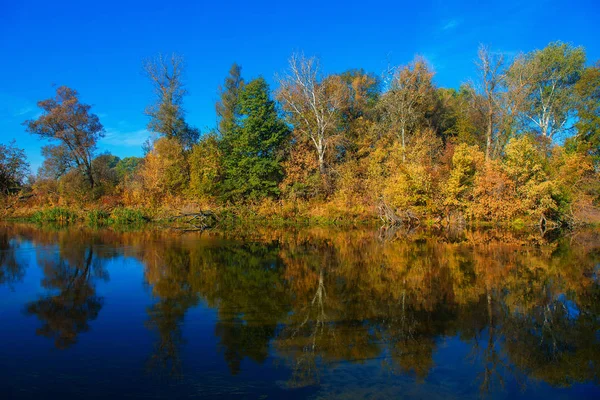 Río Bosque Día Soleado Otoño Pueblo — Foto de Stock